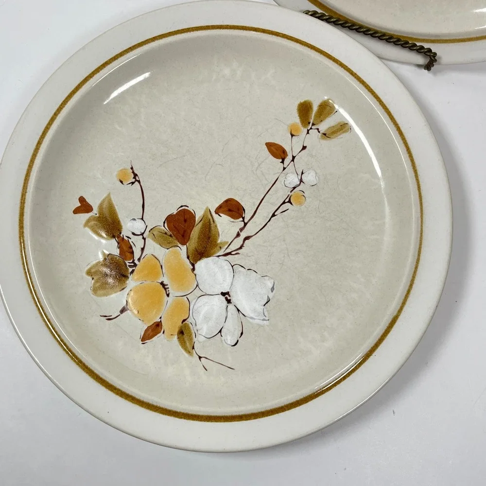 Vintage Casual Classic Stoneware Dinner Plates 415 Tahoe Tan Brown Floral 2